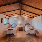 Casa Surrender